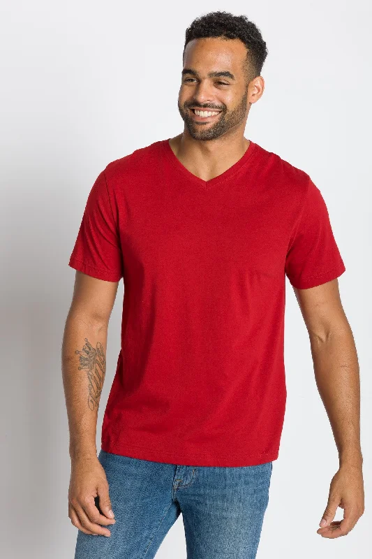 Jamison | Men's Anti-Stain V-neck Tee