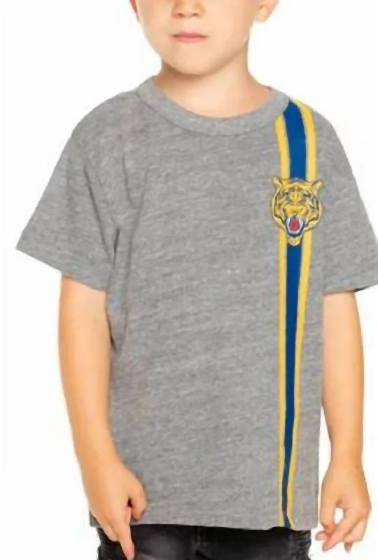 Boys Tiger Stripe Short Sleeve Tee In Grey